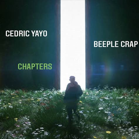 who is beeple|beeple crap vimeo music.